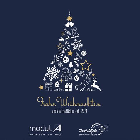 modul A wünscht frohe Weihnachten und einen guten Rutsch